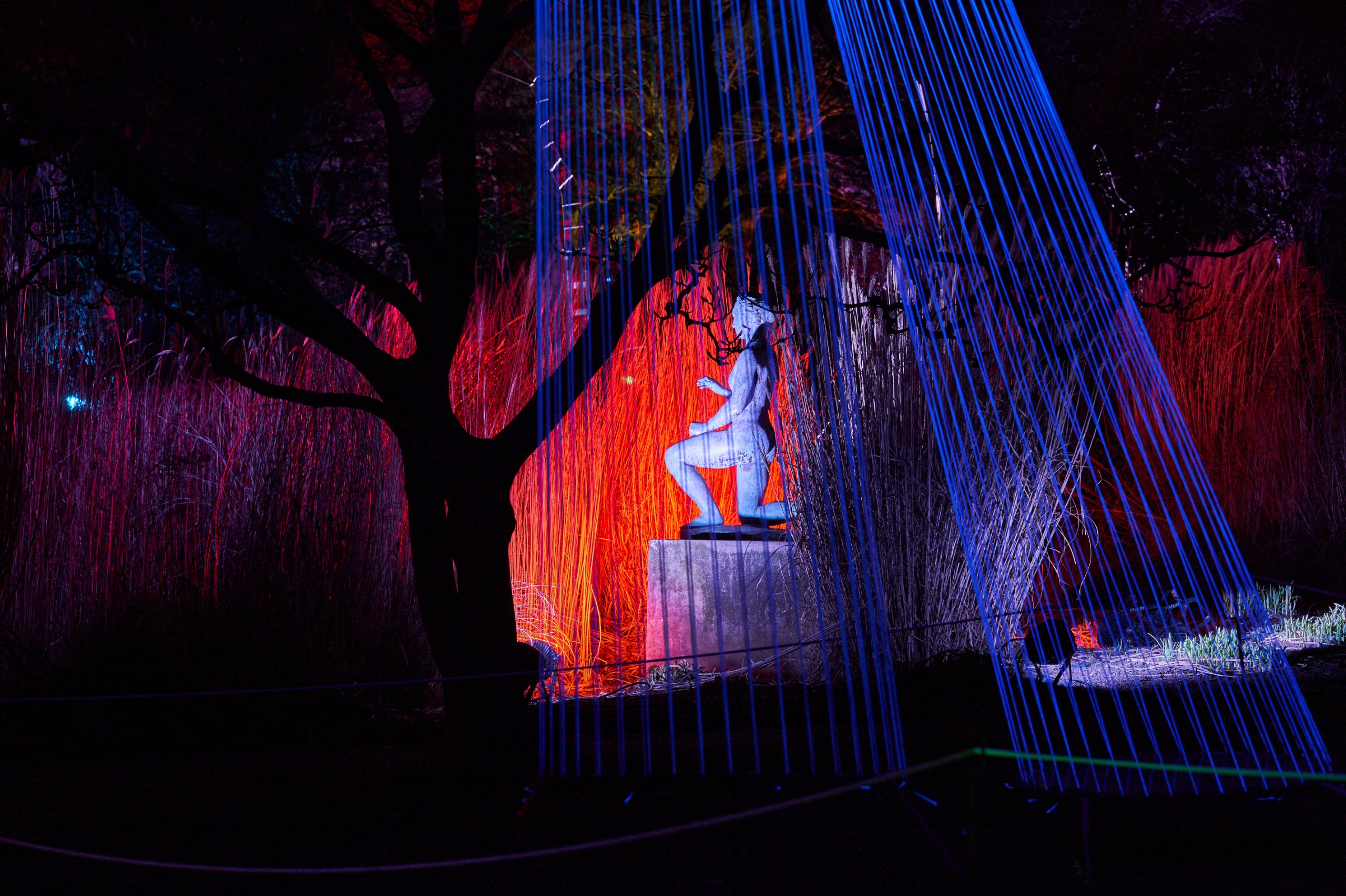 2023 01 24 Parkleuchten 0368